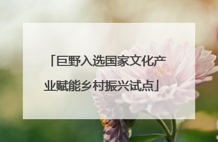 巨野入选国家文化产业赋能乡村振兴试点