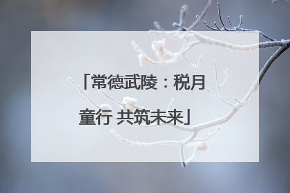 常德武陵：税月童行 共筑未来