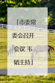 市委常委会召开会议 韦韬主持