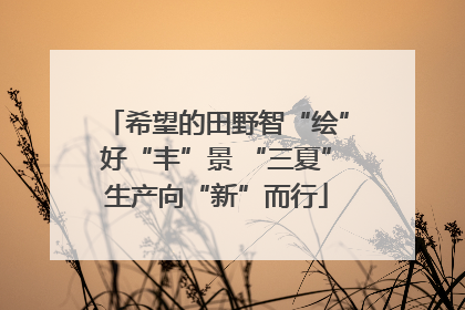 希望的田野智“绘”好“丰”景 “三夏”生产向“新”而行