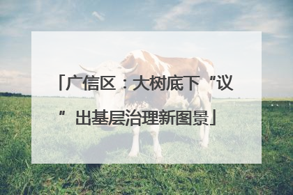 广信区：大树底下“议”出基层治理新图景