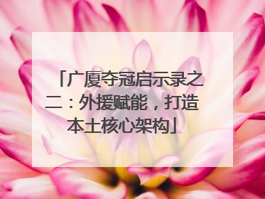 广厦夺冠启示录之二：外援赋能，打造本土核心架构