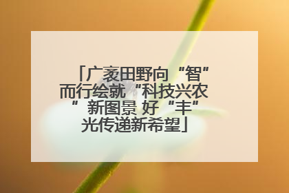 广袤田野向“智”而行绘就“科技兴农”新图景 好“丰”光传递新希望