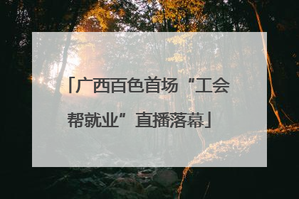 广西百色首场“工会帮就业”直播落幕