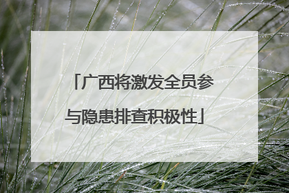 广西将激发全员参与隐患排查积极性