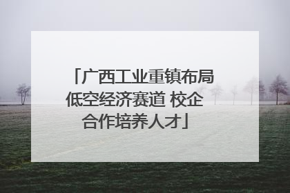 广西工业重镇布局低空经济赛道 校企合作培养人才