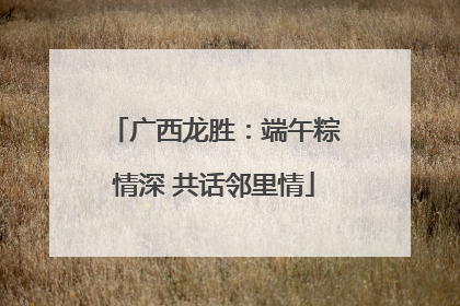 广西龙胜：端午粽情深 共话邻里情