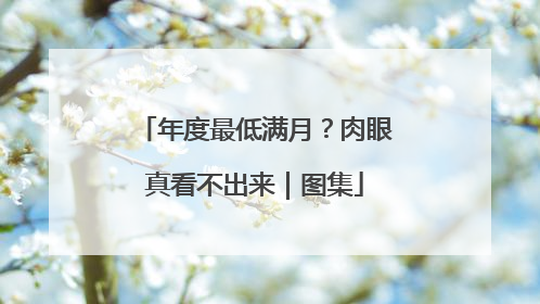 年度最低满月？肉眼真看不出来｜图集