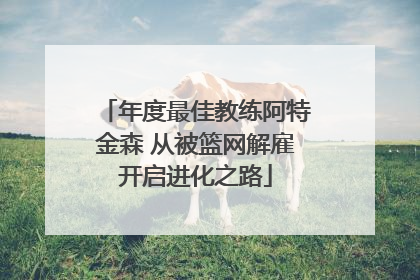 年度最佳教练阿特金森 从被篮网解雇开启进化之路