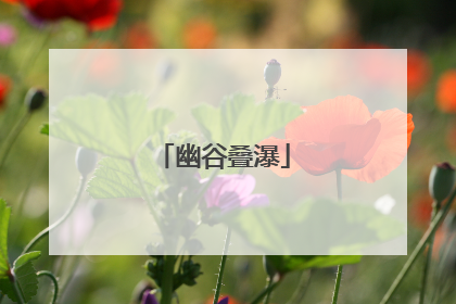 幽谷叠瀑