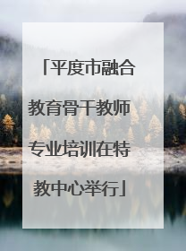 平度市融合教育骨干教师专业培训在特教中心举行