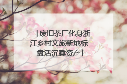 废旧茶厂化身浙江乡村文旅新地标 盘活沉睡资产