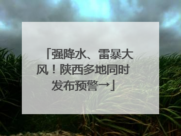 强降水、雷暴大风！陕西多地同时发布预警→