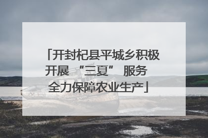 开封杞县平城乡积极开展 “三夏” 服务 全力保障农业生产