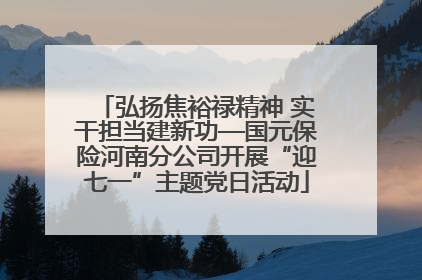 弘扬焦裕禄精神 实干担当建新功—国元保险河南分公司开展“迎七一”主题党日活动