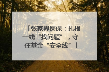 张家界医保：扎根一线“找问题”，守住基金“安全线”