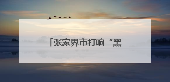 张家界市打响“黑飞”处理第一枪