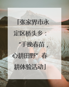 张家界市永定区桥头乡：“手挽春苗，心耕田野”春耕体验活动