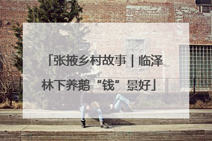 张掖乡村故事｜临泽林下养鹅“钱”景好