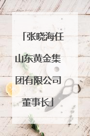 张晓海任山东黄金集团有限公司董事长
