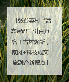 张谷英村“活态密码”引百万客！古村焕新，家风+科技成文旅融合新爆点