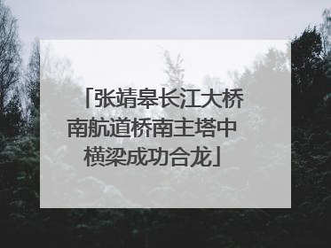 张靖皋长江大桥南航道桥南主塔中横梁成功合龙
