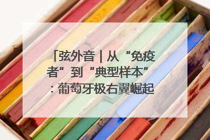 弦外音｜从“免疫者”到“典型样本”：葡萄牙极右翼崛起背后的欧洲困局