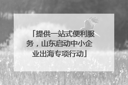 提供一站式便利服务，山东启动中小企业出海专项行动
