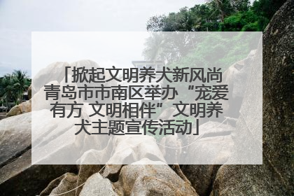 掀起文明养犬新风尚 青岛市市南区举办“宠爱有方 文明相伴”文明养犬主题宣传活动