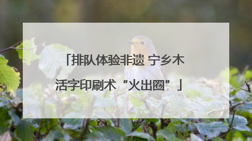 排队体验非遗 宁乡木活字印刷术“火出圈”