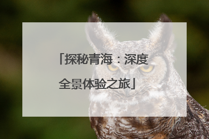 探秘青海：深度全景体验之旅