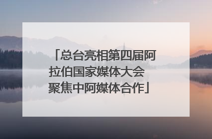 总台亮相第四届阿拉伯国家媒体大会 聚焦中阿媒体合作