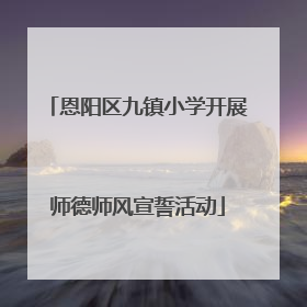 恩阳区九镇小学开展师德师风宣誓活动