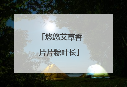 悠悠艾草香 片片粽叶长