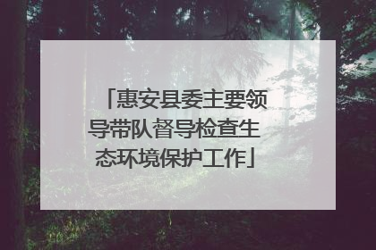 惠安县委主要领导带队督导检查生态环境保护工作