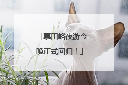 慕田峪夜游今晚正式回归！