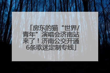 房东的猫“世界/青年”演唱会济南站来了！济南公交开通6条歌迷定制专线