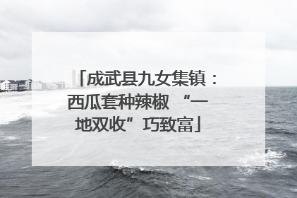 成武县九女集镇：西瓜套种辣椒 “一地双收”巧致富