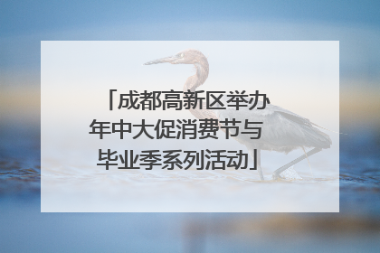 成都高新区举办年中大促消费节与毕业季系列活动