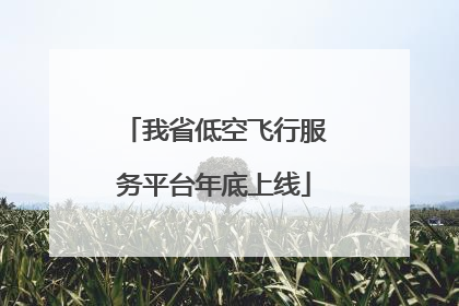 我省低空飞行服务平台年底上线