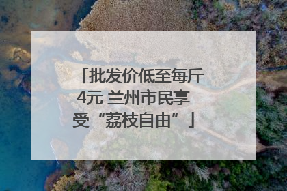 批发价低至每斤4元 兰州市民享受“荔枝自由”