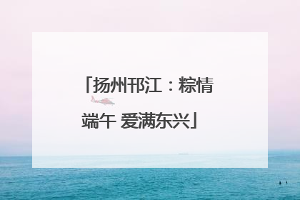 扬州邗江：粽情端午 爱满东兴