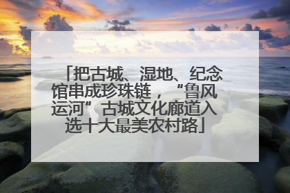 把古城、湿地、纪念馆串成珍珠链，“鲁风运河”古城文化廊道入选十大最美农村路