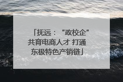 抚远：“政校企”共育电商人才 打通东极特色产销链
