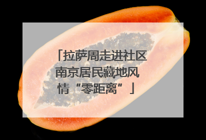 拉萨周走进社区 南京居民藏地风情“零距离”