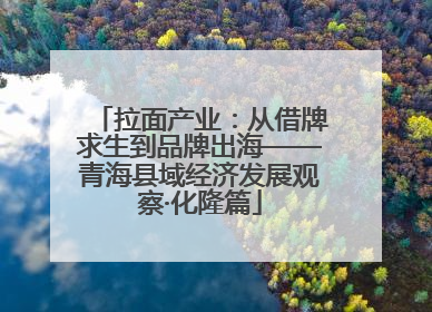 拉面产业：从借牌求生到品牌出海——青海县域经济发展观察·化隆篇