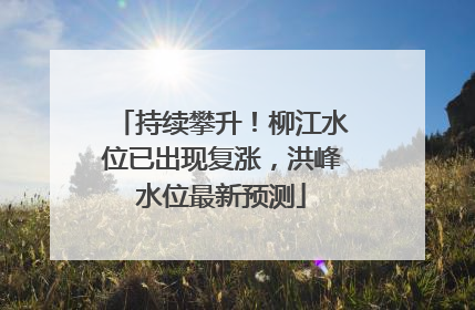 持续攀升！柳江水位已出现复涨，洪峰水位最新预测