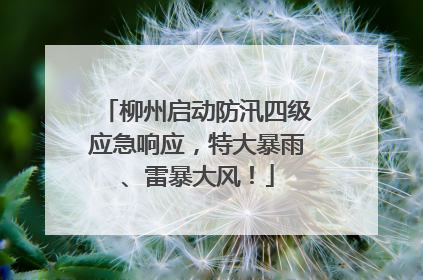 柳州启动防汛四级应急响应，特大暴雨、雷暴大风！