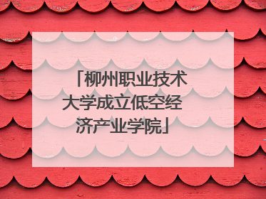 柳州职业技术大学成立低空经济产业学院