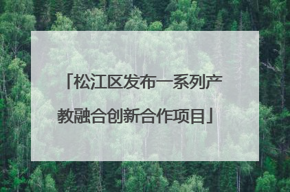 松江区发布一系列产教融合创新合作项目